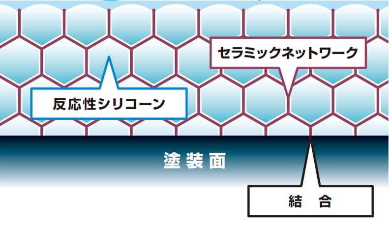セラミックネットワーク